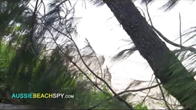ஒரு கருப்பு டிக் மீது நடப்பட்ட இனிப்பு பொன்னிற காதலன்
