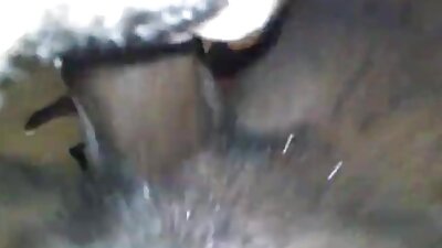 கொம்பு மற்றும் குடித்த குஞ்சுகள் ஒரு ஸ்ட்ரிப்பரை உறிஞ்சும்